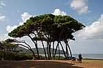 Baratti