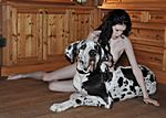 Vorbereitung zu einem Akt Shooting mit Doggen - Preparing of a nude-shooting wit Great Danes